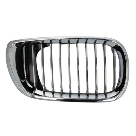 6502-07-0061992PP - Radiator Grille 