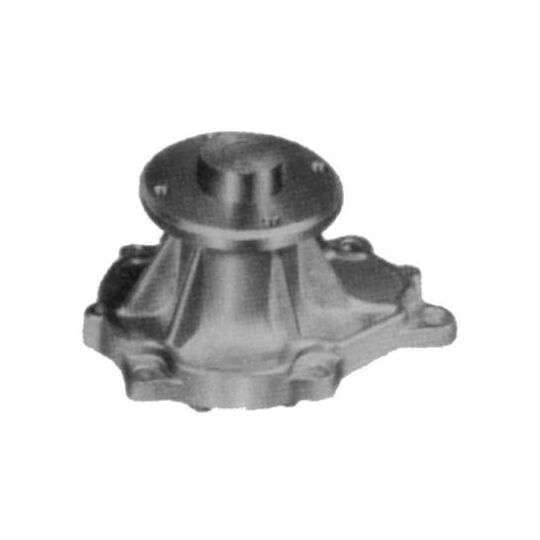 WPN-079 - Water pump 