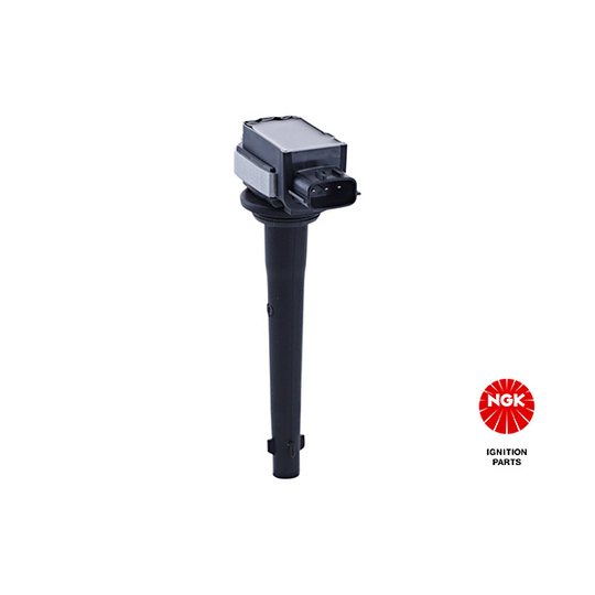 48162 - Ignition coil 