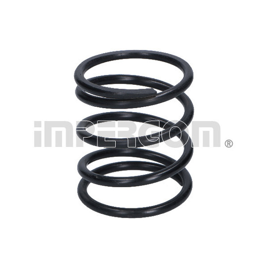 26202 - Coil Spring 