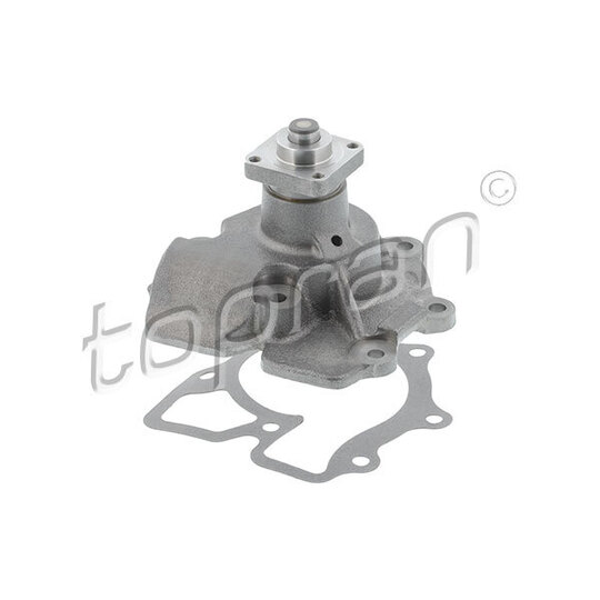 300 244 - Water pump 