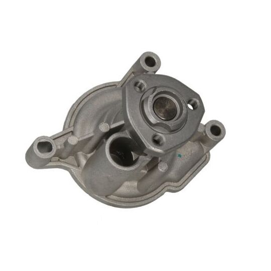 D1W053TT - Water pump 