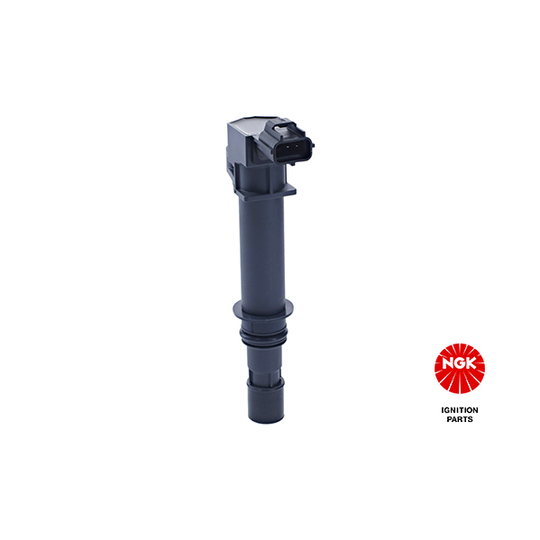 48194 - Ignition coil 
