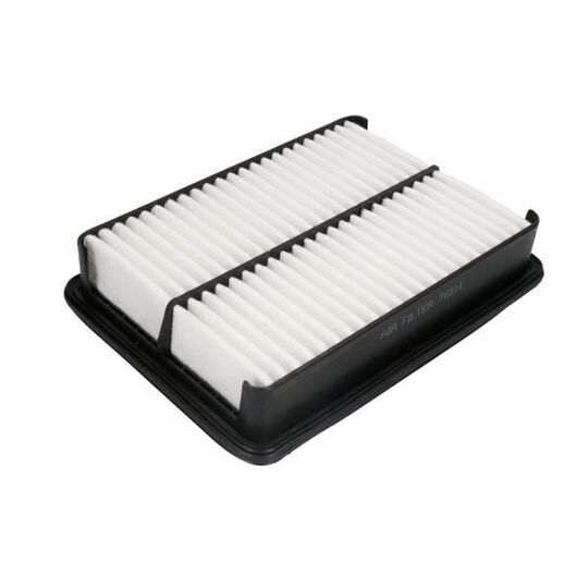 B22050PR - Air filter 