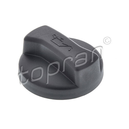 100 198 - Sealing Cap, oil filling port 