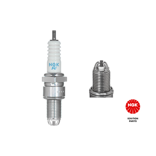 2876 - Spark Plug 