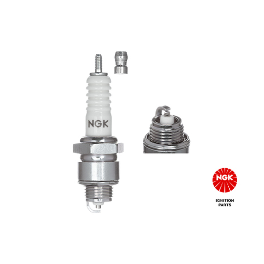 3011 - Spark Plug 