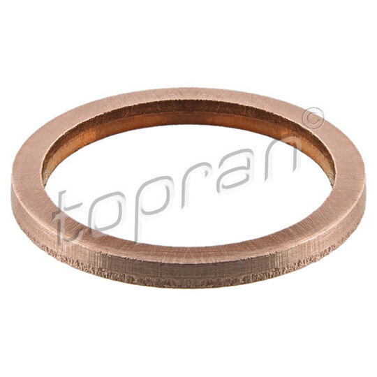 110 599 - Seal Ring 
