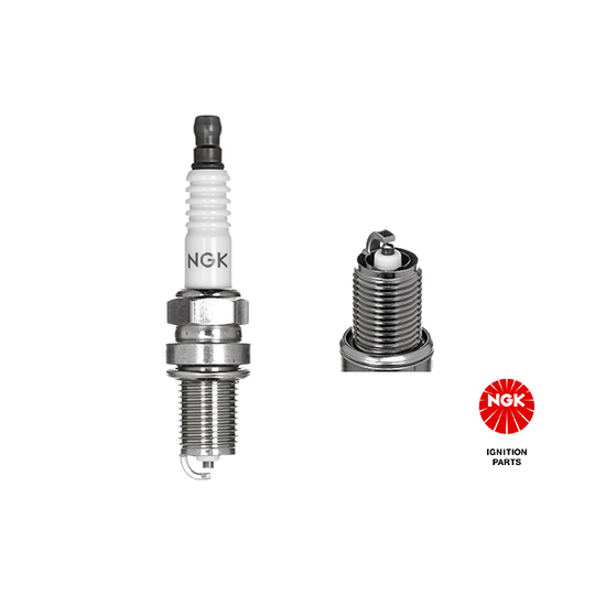 5030 - Spark Plug 