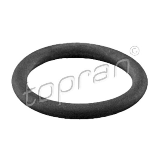 113 947 - Seal Ring 