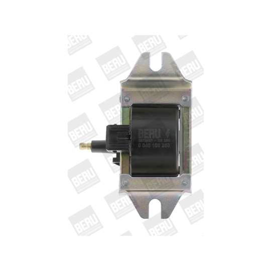 ZS250 - Ignition coil 