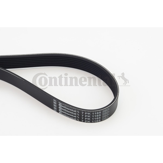 7PK1165 - V-Ribbed Belt 