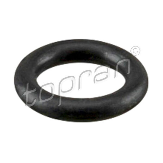113 906 - Seal Ring 
