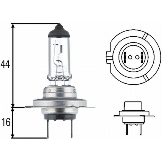 8GH 178 560-493 - Bulb, headlight 
