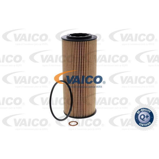 V20-0646 - Oil filter 