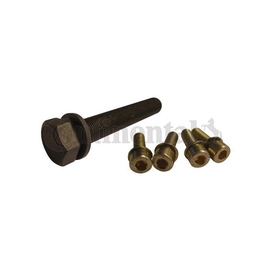 MS10 - Bolt Set, crankshaft pulley 