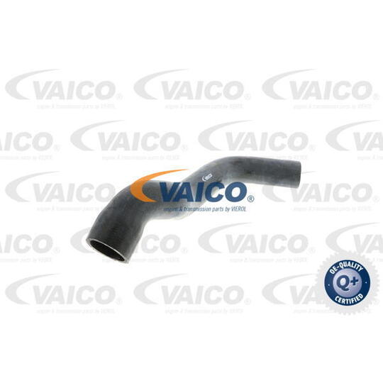 V30-0148 - Radiator Hose 