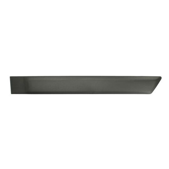 5703-04-2576573P - Trim/Protective Strip, door 