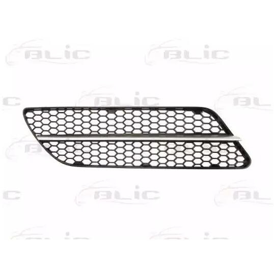 6502-07-0109922P - Ventilation Grille, bumper 