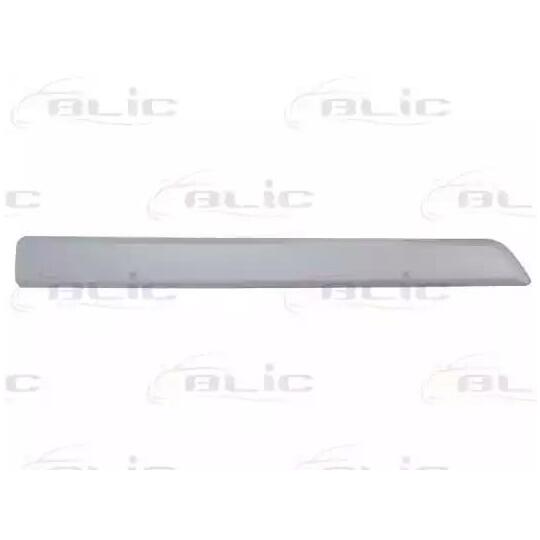 5703-04-0553575P - Trim/Protective Strip, door 