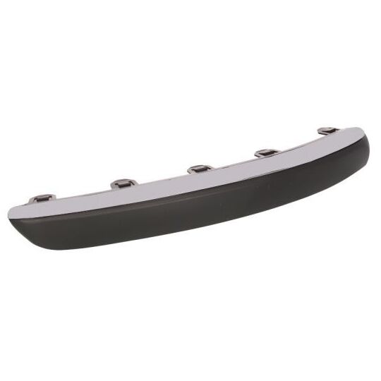 5513-00-5537922P - Trim/Protective Strip, bumper 