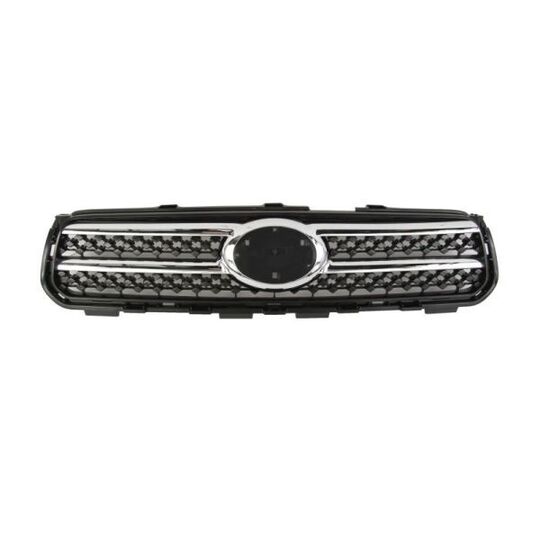 6502-07-8179991P - Radiator Grille 