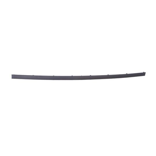 5703-05-0065975P - Trim/Protective Strip, bumper 