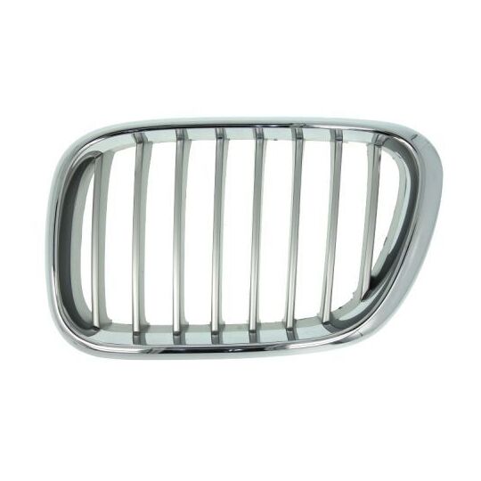 6502-07-0095991P - Radiator Grille 