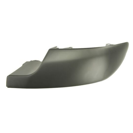 5703-05-5519976P - Trim/Protective Strip, bumper 