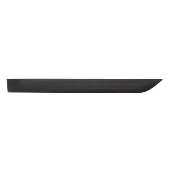 5703-04-2532573P - Trim/Protective Strip, door 