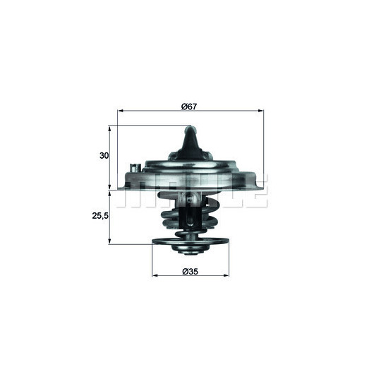 TX 30 87D - Thermostat, coolant 