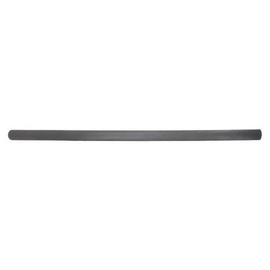 5703-04-9545572P - Trim/Protective Strip, door 