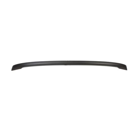 5513-00-2533975P - Trim/Protective Strip, bumper 