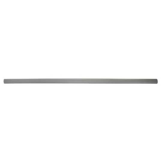 5703-04-9504575P - Trim/Protective Strip, door 