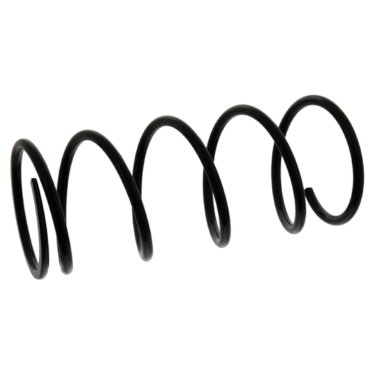 39576 - Coil Spring 