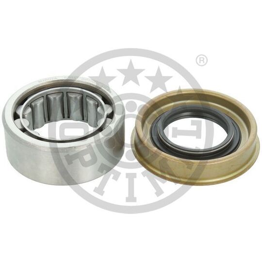 252348 - Wheel Bearing Kit 