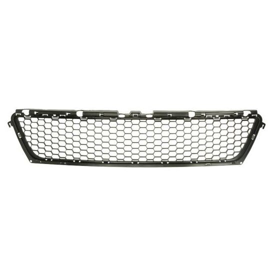 6502-07-1302910P - Ventilation Grille, bumper 