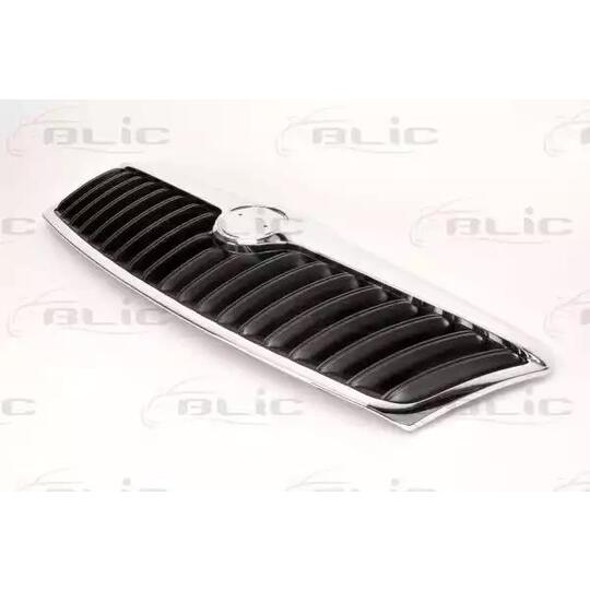 6502-07-7521991P - Radiator Grille 