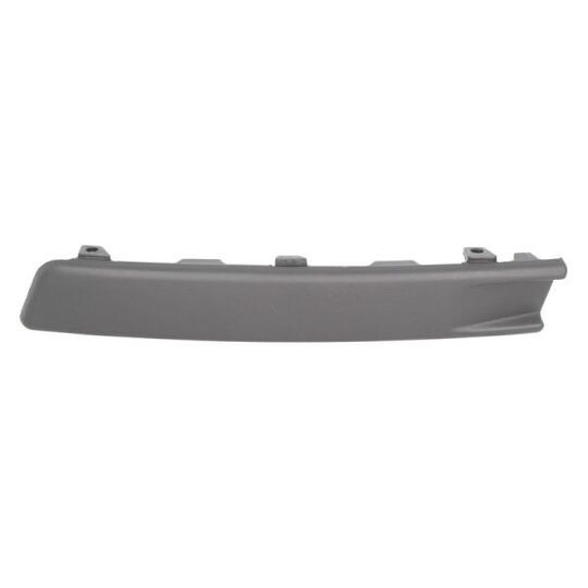 5703-05-9540923P - Trim/Protective Strip, bumper 