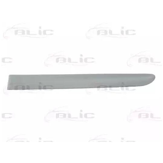 5703-04-6032577P - Trim/Protective Strip, door 