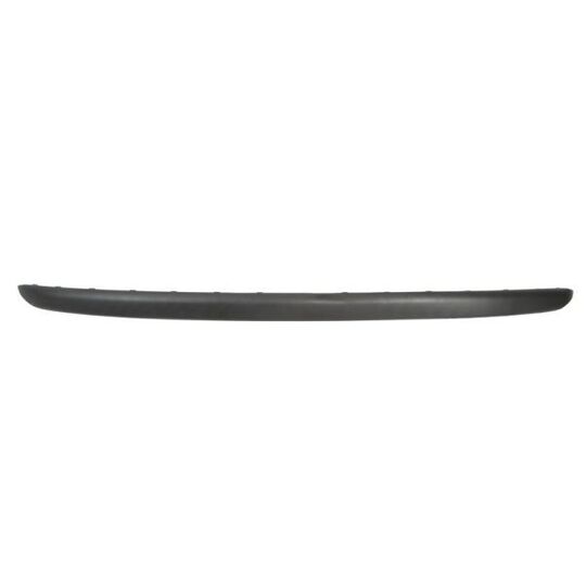 5703-05-2023972P - Trim/Protective Strip, bumper 