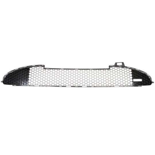 6502-07-5507996P - Ventilation Grille, bumper 