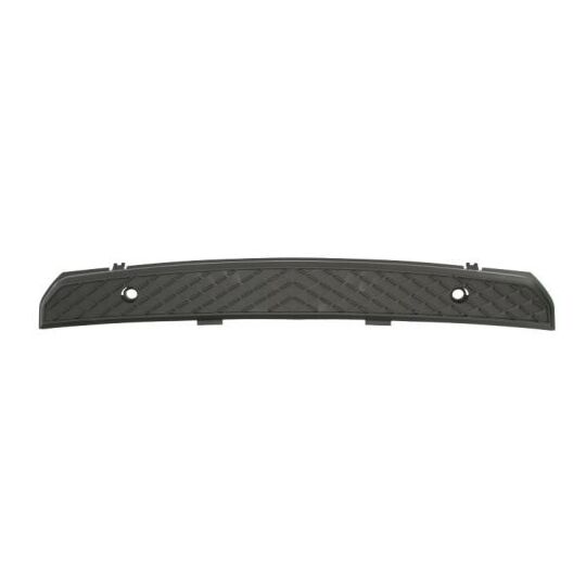 6509-01-3547920P - Trim/Protective Strip, bumper 