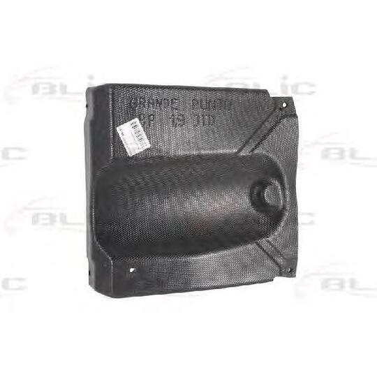 6601-02-2024873P - Engine Cover 