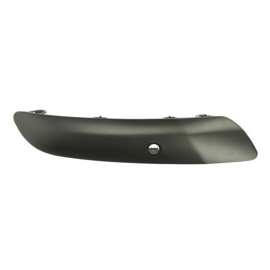 5703-05-5519973P - Trim/Protective Strip, bumper 