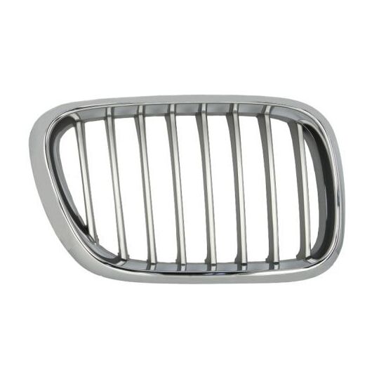 6502-07-0095992P - Radiator Grille 