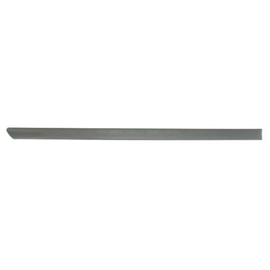 5703-04-9504578P - Trim/Protective Strip, door 