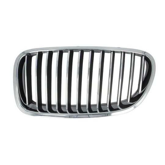 6502-07-0067993P - Radiator Grille 