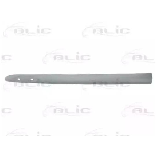 5703-04-6032576P - Trim/Protective Strip, door 