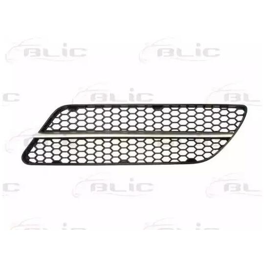 6502-07-0109921P - Ventilation Grille, bumper 